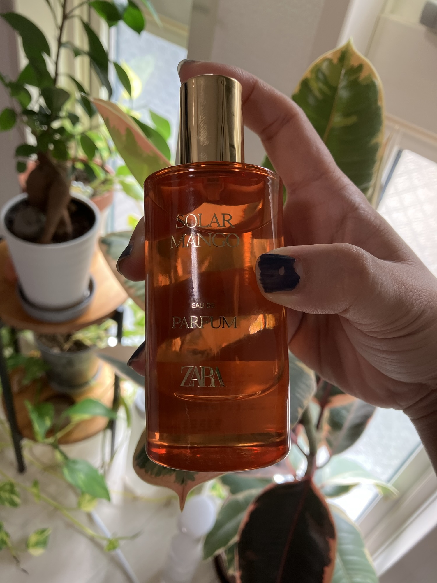 ZARA筋を鍛えて夏を制する